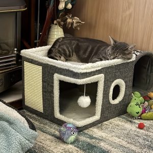 Pet Double Layered Luxury Cat Nest, Foldable Sisal Cat Villa, Large Closed Cat House, Universal For All Seasons