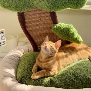 Cat Bed With Scratching Post - Minimalist Style Design Of Cat Tree With Cozy Pet Cat Cushion Bed