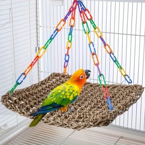 Adjustable Grass Hammock Bird Swing Bed for Pets, Four Seasons Hanging Nest Play Toy with Chain Links